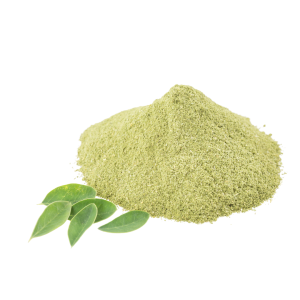 Stevia polvo